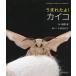 [ бесплатная доставка ][книга@/ журнал ]/.....! kai ko(...... кимоно .......)/ новый ../ фотография маленький криптомерия . клей / структура * документ ( детская книга )
