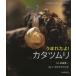 [ бесплатная доставка ][книга@/ журнал ]/.....!katatsumli(...... кимоно .......)/ Takeda . один / фотография bokoya Makuri ta/ структура * документ ( детская книга )