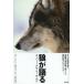 [ бесплатная доставка ][книга@/ журнал ]/.. язык .ne балка *klai* Wolf /. название :Never Cry Wolf/ мех Lee *mo мокрый / работа Kobayashi правильный ./ перевод ( монография * Mucc )