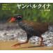 [книга@/ журнал ]/yan Bulk ina мир среди Okinawa . только нет .. нет птица ( Shogakukan Inc.. иллюстрированная книга NEO. наука книга с картинками )/..../ фотография . документ ( детская книга )
