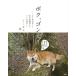 [книга@/ журнал ]/bok,gon futoshi!.. внутри гора жизнь . дерево игла поле ...gon futoshi сообщение /../ фотография * документ 