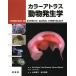 ̵[/]/顼ȥ饹ưʪȯ / ȥ:Essentials of Domestic Animal Embryology/PoulHy