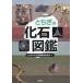 [книга@/ журнал ]/ Tochigi. окаменелость иллюстрированная книга / Tochigi. окаменелость иллюстрированная книга редактирование комитет / сборник 