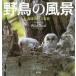 [ free shipping ][book@/ magazine ]/ wild bird. scenery height castle .. photoalbum / height castle ../ work 