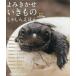 [ бесплатная доставка ][книга@/ журнал ]/...... кимоно ....... no. 3 период 10 шт комплект / средний ../ другой фотография * документ 