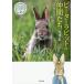 [book@/ magazine ]/ Peter Rabbit. company .. photoalbum /. 10 tree ../ work . rice field ../. writing brush 