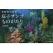 [ free shipping ][book@/ magazine ]/.. coral thing ... Sagami .. four season / length island . spring / work 