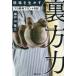 [книга@/ журнал ]/ площадка . сырой .. обратная сторона person сила Professional Baseball передний дневник / Seto гора . три / работа 