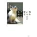 [книга@/ журнал ]/ ясная погода время .. кошка . и, клен ./ Murayama Yuka / работа 