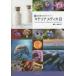 ネオウィング Yahoo!店