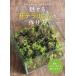 [книга@/ журнал ]/ очарован мох террариум. конструкция person часть магазин .... маленький мох. лес / камень река Британия произведение / работа 