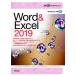 [本/雑誌]/Word & Excel 2019 (30時間アカデミック)/杉本くみ子/著 大澤栄子/著