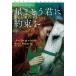 [книга@/ журнал ]/ звезда ..... договоренность . внизу /. название :THE BECOMING.VOL.2 (. тутовик фирма роман ro6-