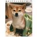 [book@/ magazine ]/. dog kou Chan. woman road introduction omoro lovely siba photograph ../... Saburou / work kou/ work 