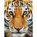 [ бесплатная доставка ][книга@/ журнал ]/TIGERS максимальный * сильнейший *. сырой кошка ~ мир. тигр фотоальбом / Pola * Hammond / работа маленький . блестящий ./.. Yoshida .../ перевод 