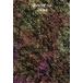 [ бесплатная доставка ][книга@/ журнал ]/ ночь. ba The - Yamamoto . дорога / работа 