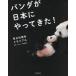 [ free shipping ][book@/ magazine ]/ Panda . Japan ......!. day 50 anniversary memory a Japan Panda protection association /..