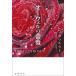 [ бесплатная доставка ][книга@/ журнал ]/ Orwell. роза /. название :ORWELL*S ROSES/ Rebecca *soru вязаный /(