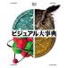 [ бесплатная доставка ][книга@/ журнал ]/ visual серьезный ./. название :THE VISUAL ENCYCLOPEDIA/DK фирма / сборник работа Nakamura ./ перевод Fujiwara много . Хара / перевод день .. через / перевод 