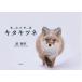 [ бесплатная доставка ][книга@/ журнал ]/ kita kitsune . гора. космос /. мир ./ работа 