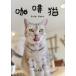 [ бесплатная доставка ][книга@/ журнал ]/.. кошка YUAN фотоальбом /YUAN/ работа 
