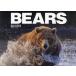 [ бесплатная доставка ][книга@/ журнал ]/BEARS/ Fukuda ../ работа 