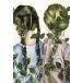[ бесплатная доставка ][книга@/ журнал ]/ 9 месяц . 7 месяц. сестры / Дэйзи * Johnson / работа город рисовое поле Izumi / перевод 