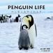 [book@/ magazine ]/PENGUIN LIFE penguin .. that time / Kagawa Miho / photograph ...../.