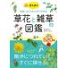 [книга@/ журнал ]/ держать ...... время . сразу .... цветок .... иллюстрированная книга сборник запись число 520 вид / золотой рисовое поле первое поколение / документ золотой рисовое поле . один ./ фотография 