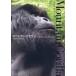 [ бесплатная доставка ][книга@/ журнал ]/ mountain Gorilla лес .... человек ../ маленький . гора ./ работа 