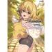 [ бесплатная доставка ][книга@/ журнал ]/ Battle Spirits сборник репродукций Diva Celeb рацион ( хобби Japan MOOK)/ хобби Japan ( монография * Mucc )