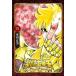 [книга@/ журнал ]/ Saint Seiya Final Edition 13 ( Shonen Champion * комиксы * extra )/ машина рисовое поле правильный прекрасный / работа ( комиксы )