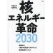 [ бесплатная доставка ][книга@/ журнал ]/. энергия переворот 2030....4 вид. новая модель .... обычный .. уголь элемент новый бизнес /. глициния ../ работа Sato ../ работа 