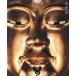 [ бесплатная доставка ][книга@/ журнал ]/ Kouya гора (Musashi)/Kankan/ фотосъемка 