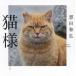 [ бесплатная доставка ][книга@/ журнал ]/ кошка sama /. рисовое поле мир ./ работа 
