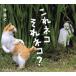 [книга@/ журнал ]/ это кошка тот кошка?/.../ работа 