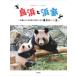 [ бесплатная доставка ][книга@/ журнал ]/ хорошо ... дом 10 голова. Panda ..... Panda. . большой . хлеб сырой / Kobe десять тысяч ./ документ * фотография 