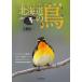 [ бесплатная доставка ][книга@/ журнал ]/ visual иллюстрированная книга Hokkaido. птица / большой .. один / работа 