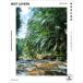 [ бесплатная доставка ][книга@/ журнал ]/. obi дождь . растения The World of Tropical Rainforest Plants/ длина .../ работа 