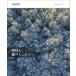 [ бесплатная доставка ][книга@/ журнал ]/ Akira день ., лес. где-то ./ сверху рисовое поле Daisaku / работа 