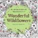 [книга@/ журнал ]/ one da полный цветок z. цветок ... раскрашенные картинки книжка /. название :Wonderful Wildflowers/jo рукоятка na* автобус Ford / работа 