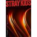 [ бесплатная доставка ][книга@/ журнал ]/STRAY KIDS...... нет ... история /cho*son Gin / оригинальное произведение . иметь ./ перевод . иметь ./ перевод 