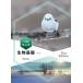 [книга@/ журнал ]/ лучший Fit живое существо основа New Edition/ реальный . выпускать 