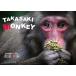 [ бесплатная доставка ][книга@/ журнал ]/TAKASAKI MONKEY/. низ ../ работа 