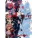 [ бесплатная доставка ][книга@/ журнал ]/The tale of Fate/Grand Order Final Singularity Grand Temple of Time:Solomon / Fate/Grand Order -. отдел Special необычность пункт . ранг час бог dono 