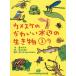 [книга@/ журнал ]/ka женский ke. симпатичный вода сторон живое существо 3/ черепаха .../ документ рисовое поле .. flat /. рисовое поле средний ./.. большой камень ../ план * брать материал 