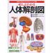 [ бесплатная доставка ][книга@/ журнал ]/... понимать тело человека анатомия map система другой * часть другой . легко понять visual описание / склон .. самец Хасимото более того .( монография * Mucc )