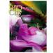[ бесплатная доставка ][книга@/ журнал ]/bio City 45/bio City ( монография * Mucc )