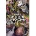 [книга@/ журнал ]/. огонь большой битва Jean *go-re1 ( Hayakawa SF серии J коллекция )/ рисовое поле средний . документ / работа ( монография * Mucc )