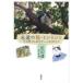 [книга@/ журнал ]/... кошка *mimin. 10 шесть год. ....- спасибо /. гора ./ работа перо . не ./.( монография * Mucc )
